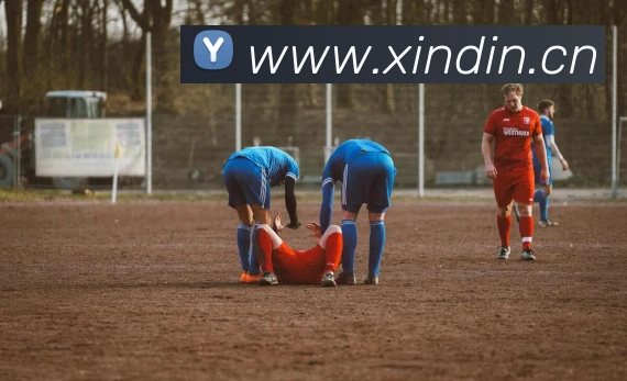 kaiyun开云官方网站APP 封面图